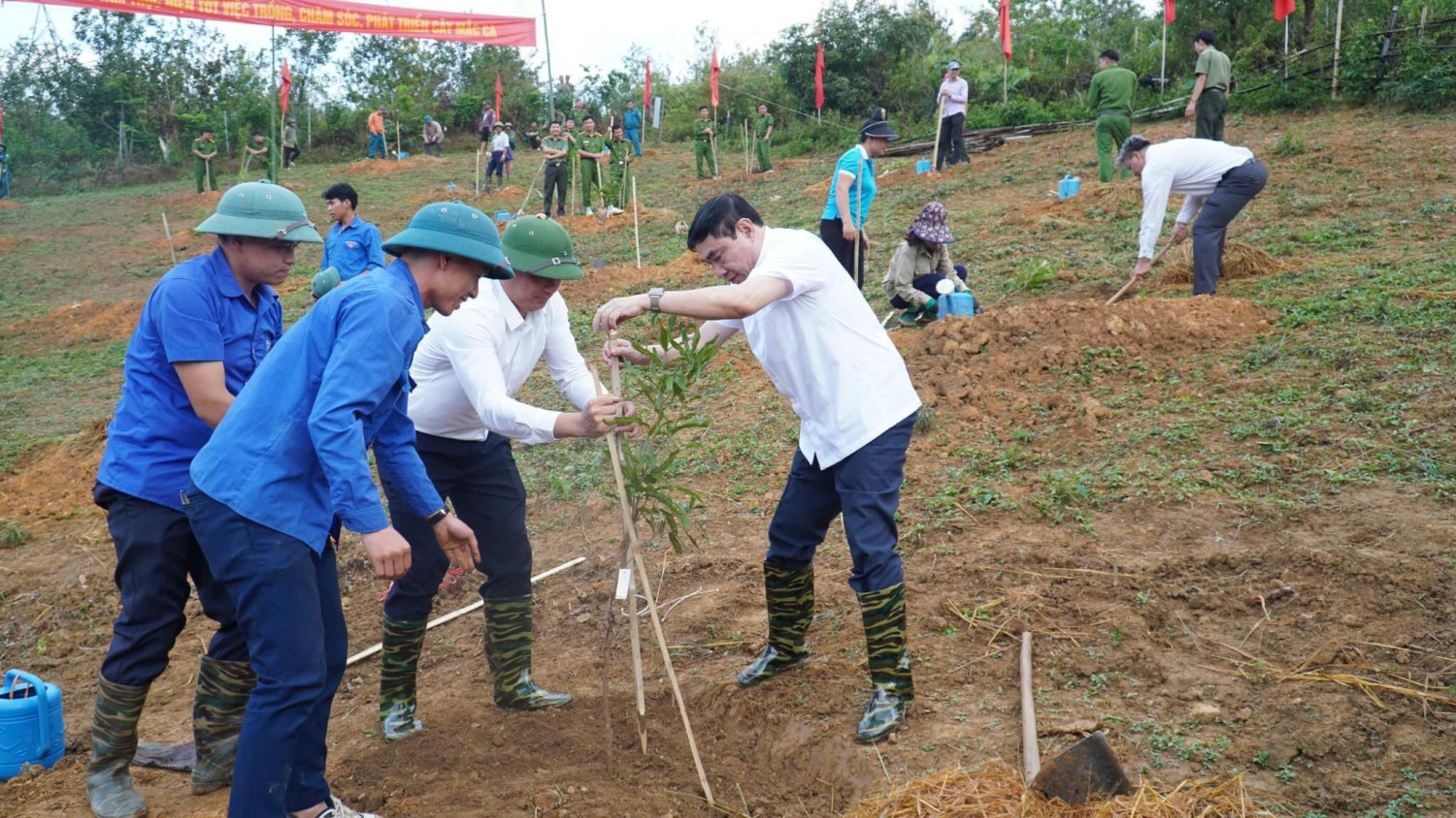 Tuần Giáo: Ngày hội trồng mắc ca năm 2024 và Hội thảo về định hướng phát triển cây mắc ca, cây cà phê